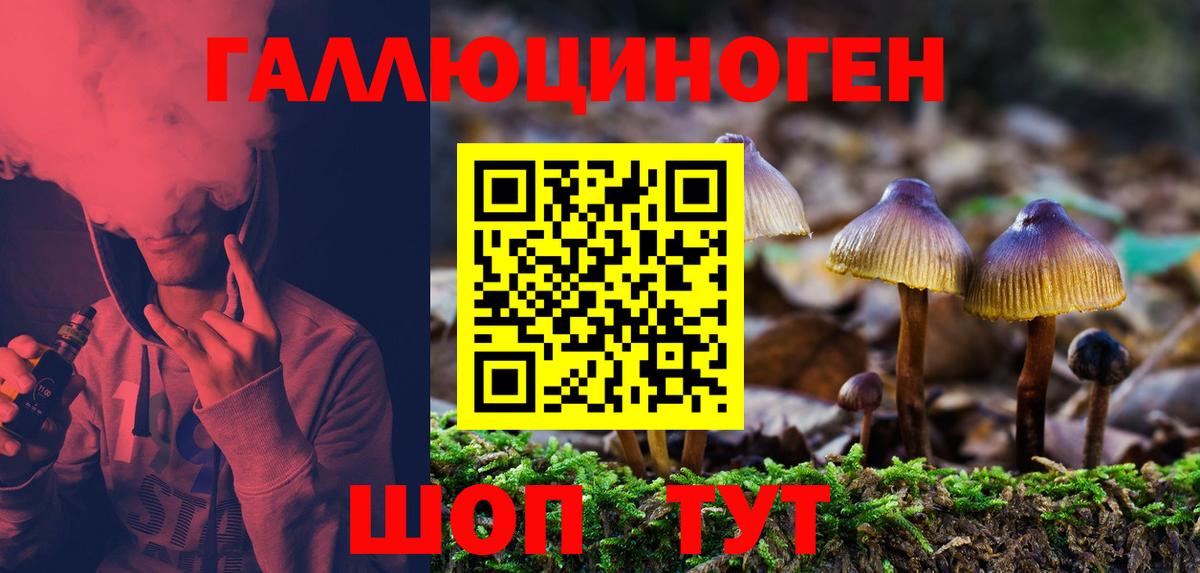 Назарово  Псилоцибиновые грибы MAGIC MUSHROOMS  Галлюциногенные грибы Magic Shrooms  Вход с VPN 