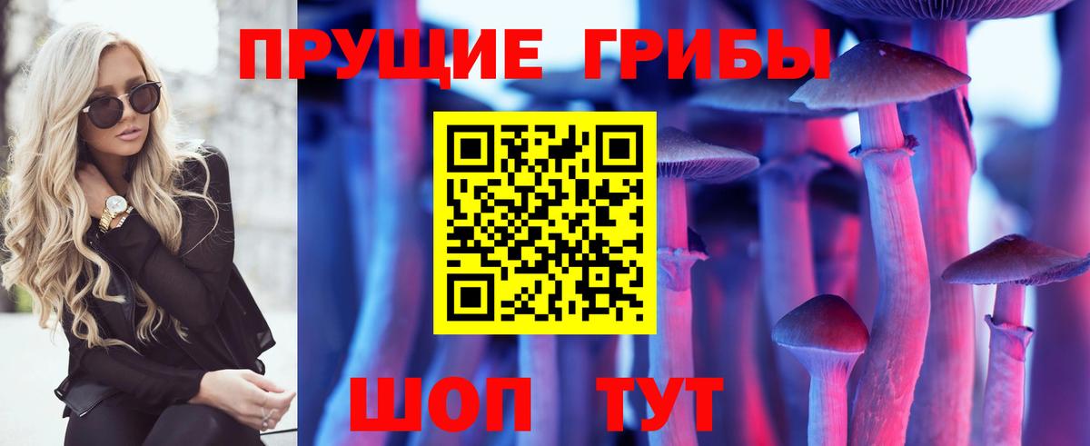 Псилоцибиновые грибы прущие грибы Назарово
